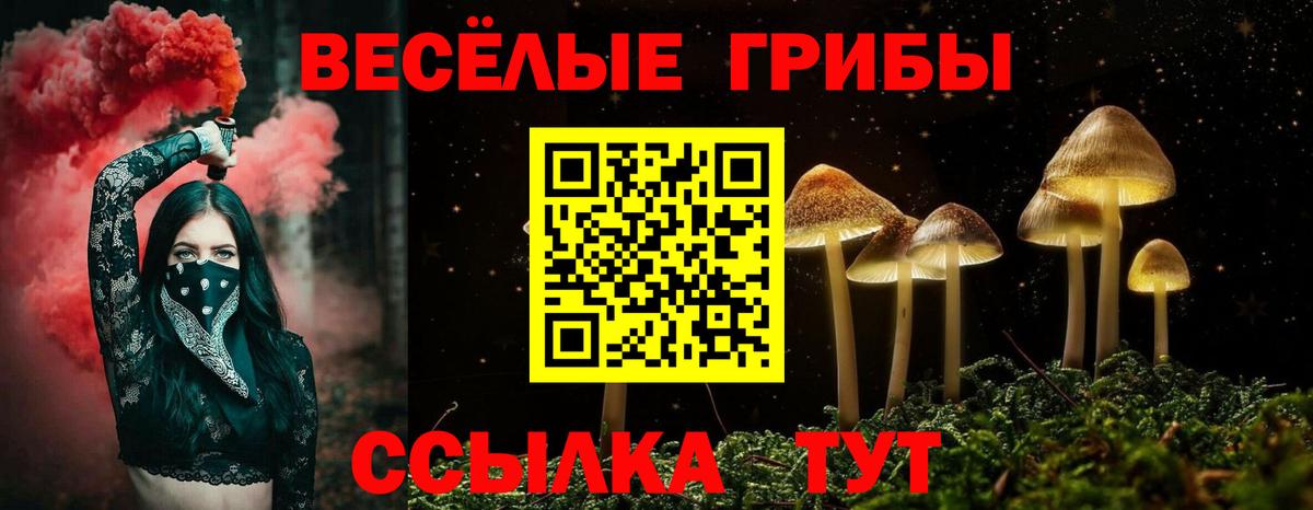 Кашира  Галлюциногенные грибы GOLDEN TEACHER  Галлюциногенные грибы мухоморы  Вход с VPN 